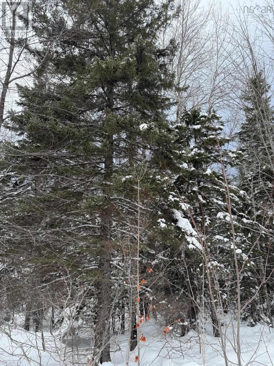 Property 5 of 15 of 1 Barren Road