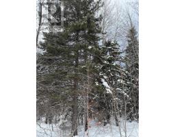 1 Barren Road, Seal Cove, NS B0E2K0 Photo 12