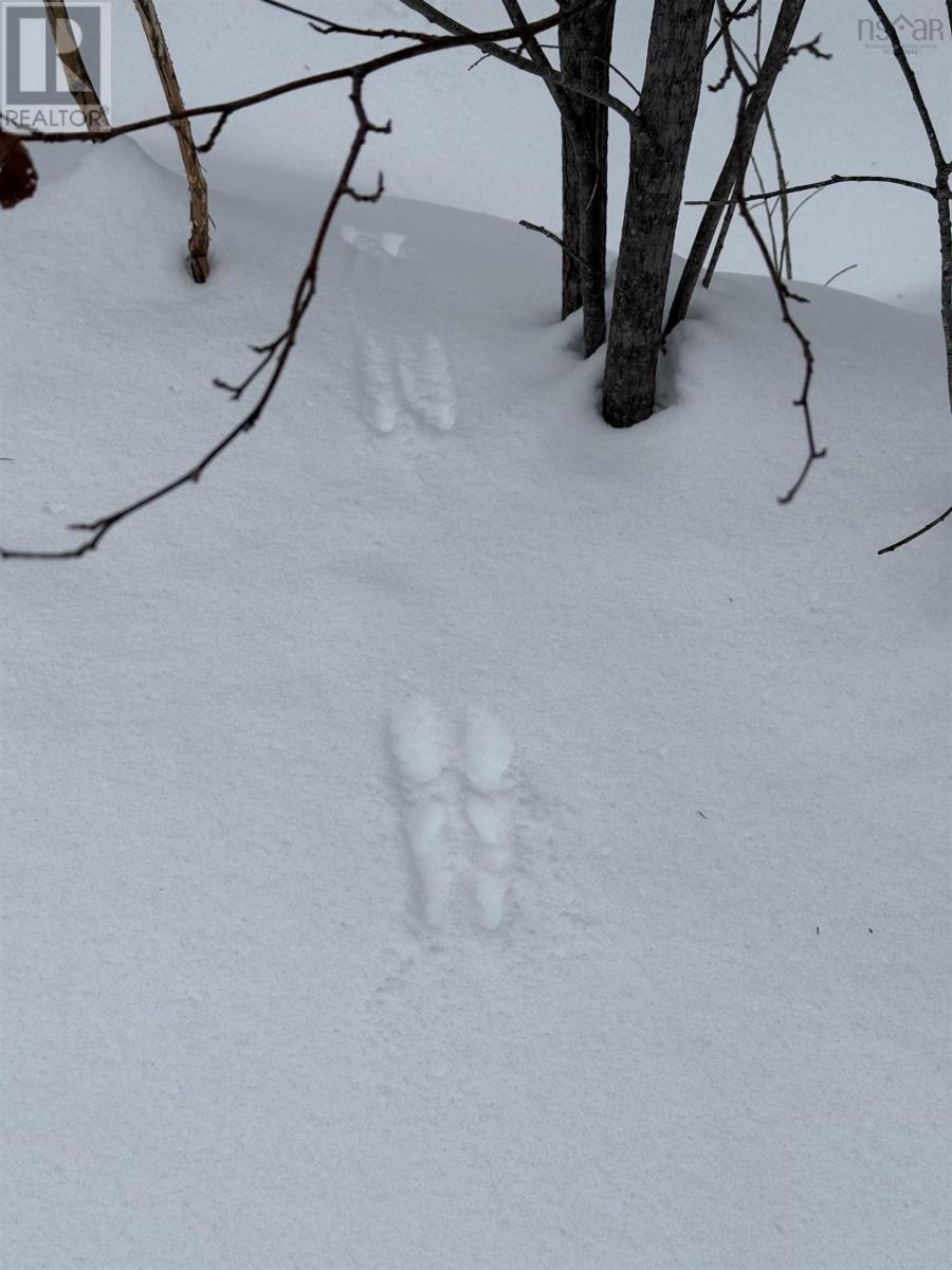 Property 13 of 15 of 1 Barren Road
