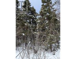 1 Barren Road, Seal Cove, NS B0E2K0 Photo 14