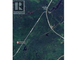 1 Barren Road, Seal Cove, NS B0E2K0 Photo 8