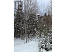 1 Barren Road, Seal Cove, NS B0E2K0 Photo 9