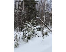 1 Barren Road, Seal Cove, NS B0E2K0 Photo 10