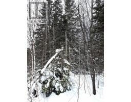 1 Barren Road, Seal Cove, NS B0E2K0 Photo 13