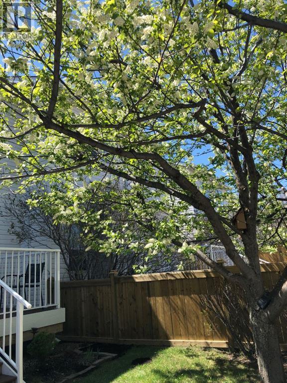 Single Family House for Sale in  Citadel Lane NW Citadel Calgary 