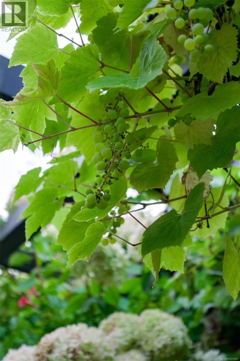 626 MONTEREY AVE - 72