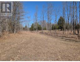 0 Sand Lake Road, Rideau Lakes, ON K0G1E0 Photo 8