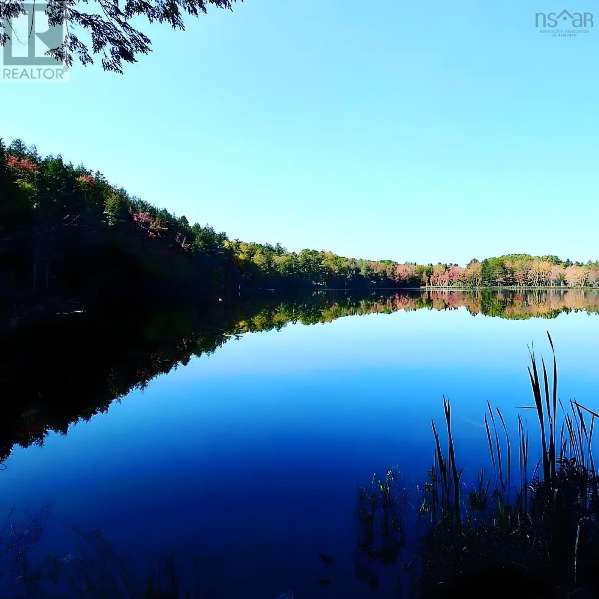 Property 3 of 26 of 95 Natural Forest Lake Road