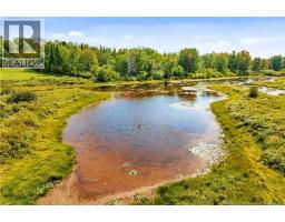 Laundry room - 135 Hopkins Rd, Gaspereau Forks, NB E4A2E6 Photo 9
