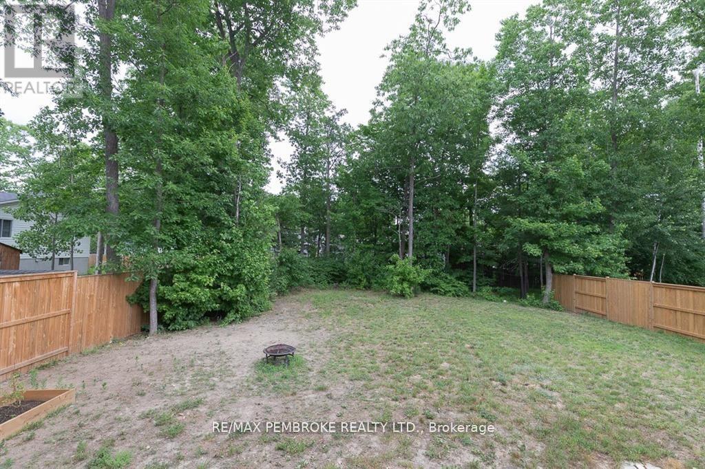 Yard in the summer (Photo 2021)