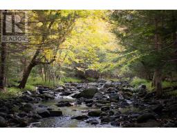 Lot 1 Power Lot Road, Guinea, NS B0S1E0 Photo 6