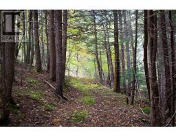 Lot 1 Power Lot Road, Guinea, NS B0S1E0 Photo 8