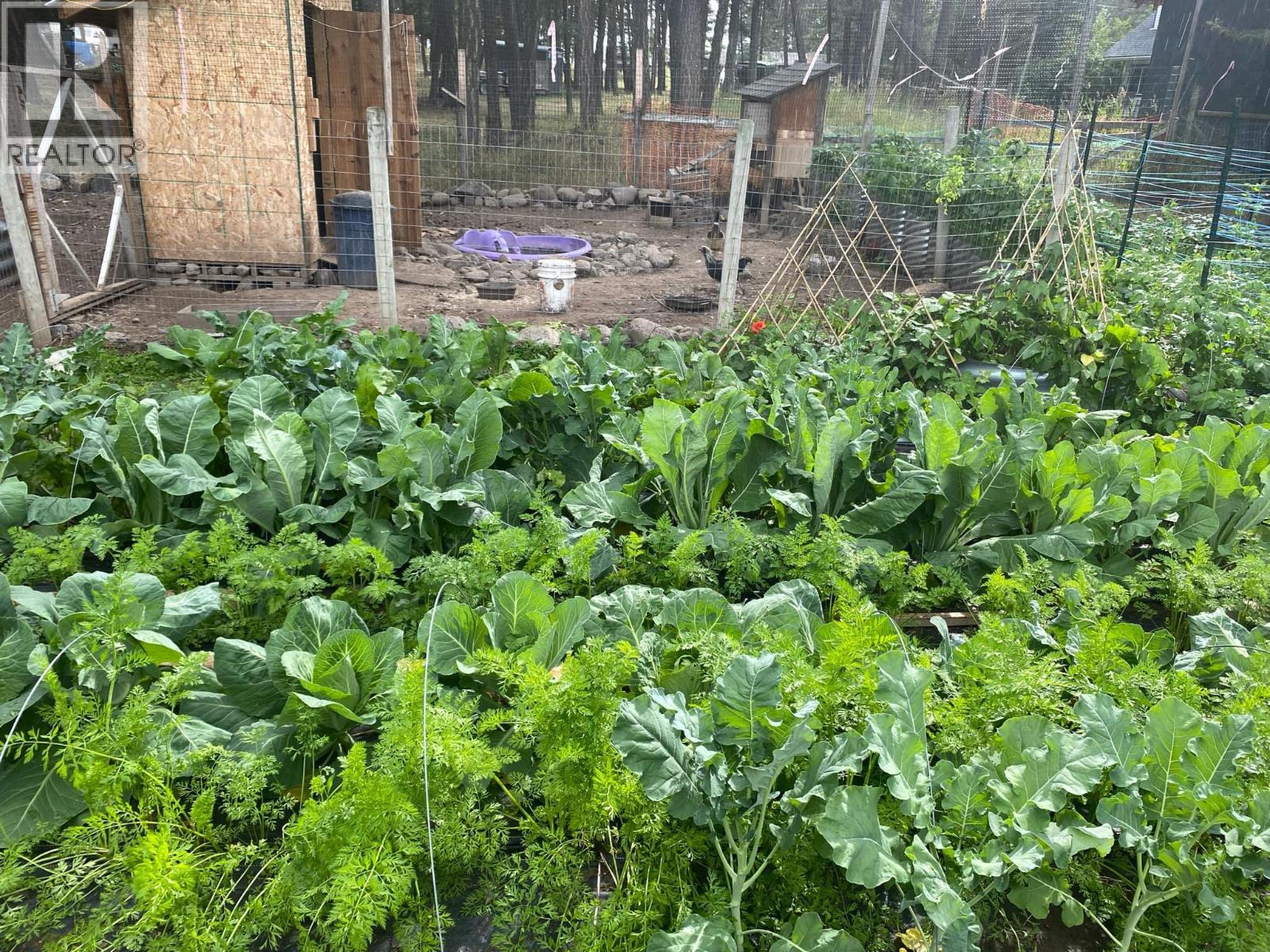 5047 EASZEE DRIVE - 37