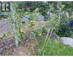 5047 Easzee Drive, 108 Mile Ranch, BC V0K2Z0 Photo 35