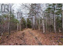 Lot Shore Road, Litchfield, NS B0S1A0 Photo 6