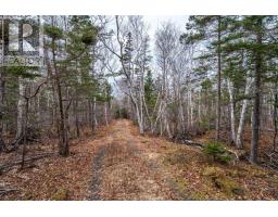 Lot Shore Road, Litchfield, NS B0S1A0 Photo 25