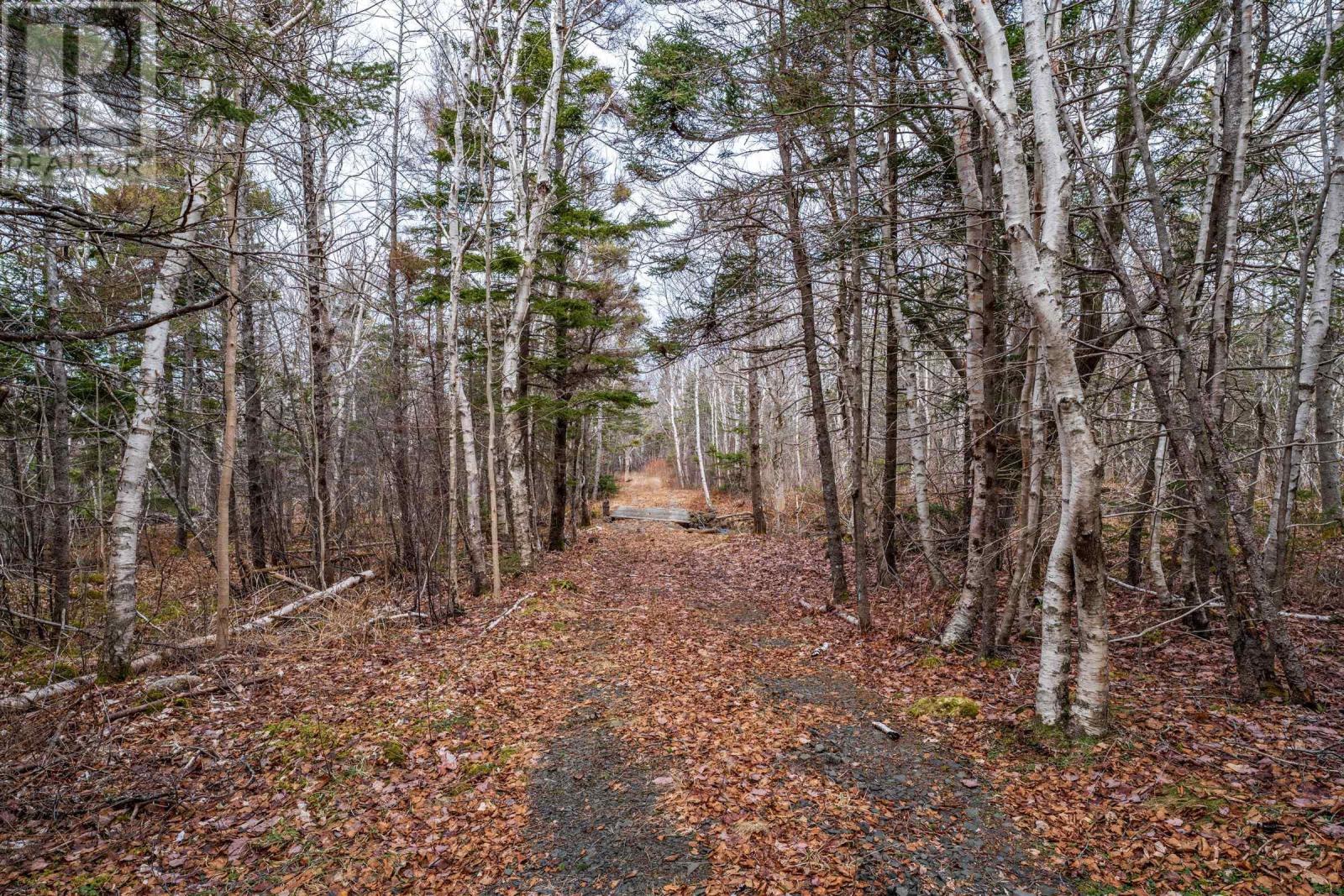 Lot Shore Road - 23