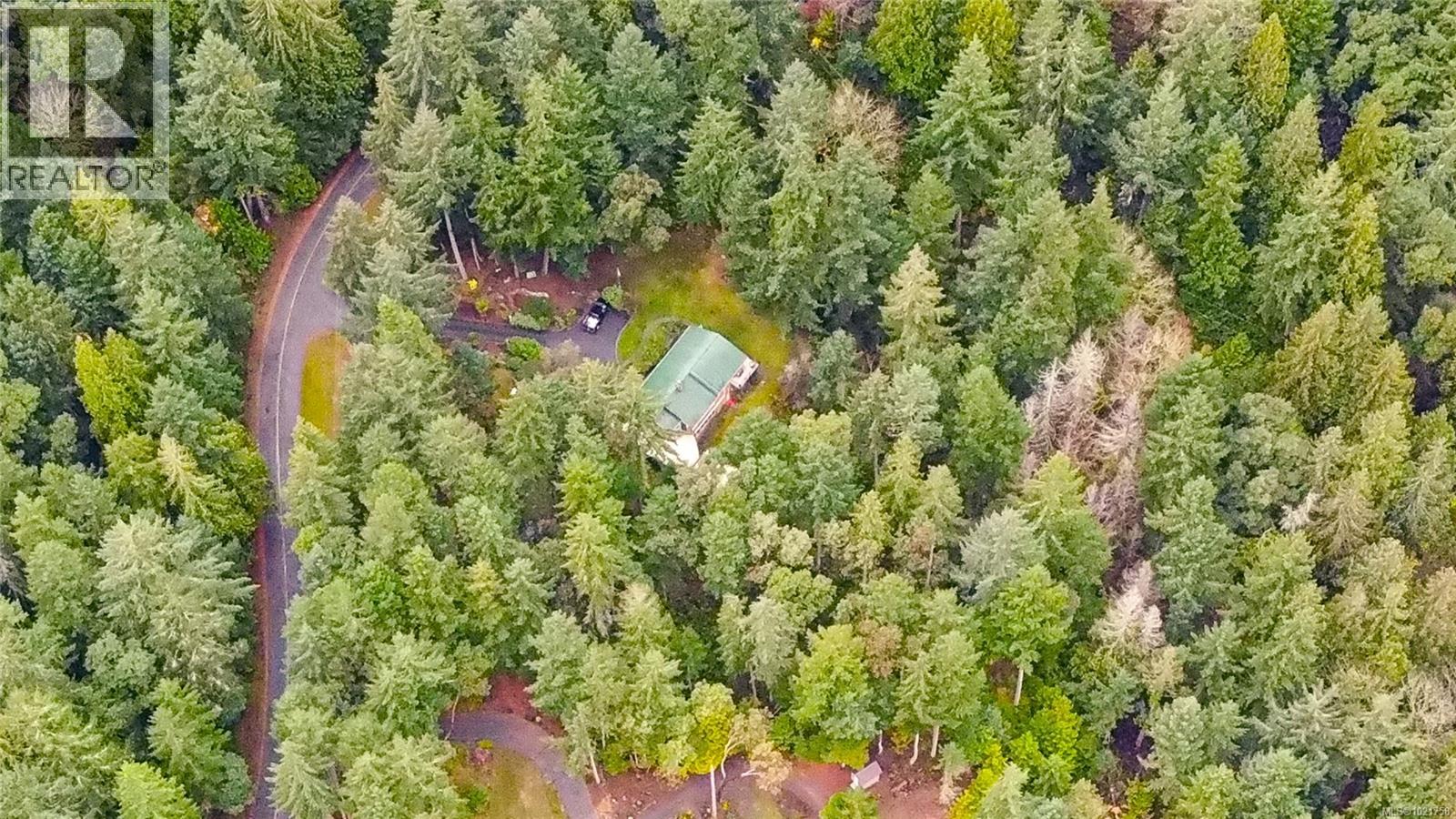 149 PILKEY POINT RD - 50