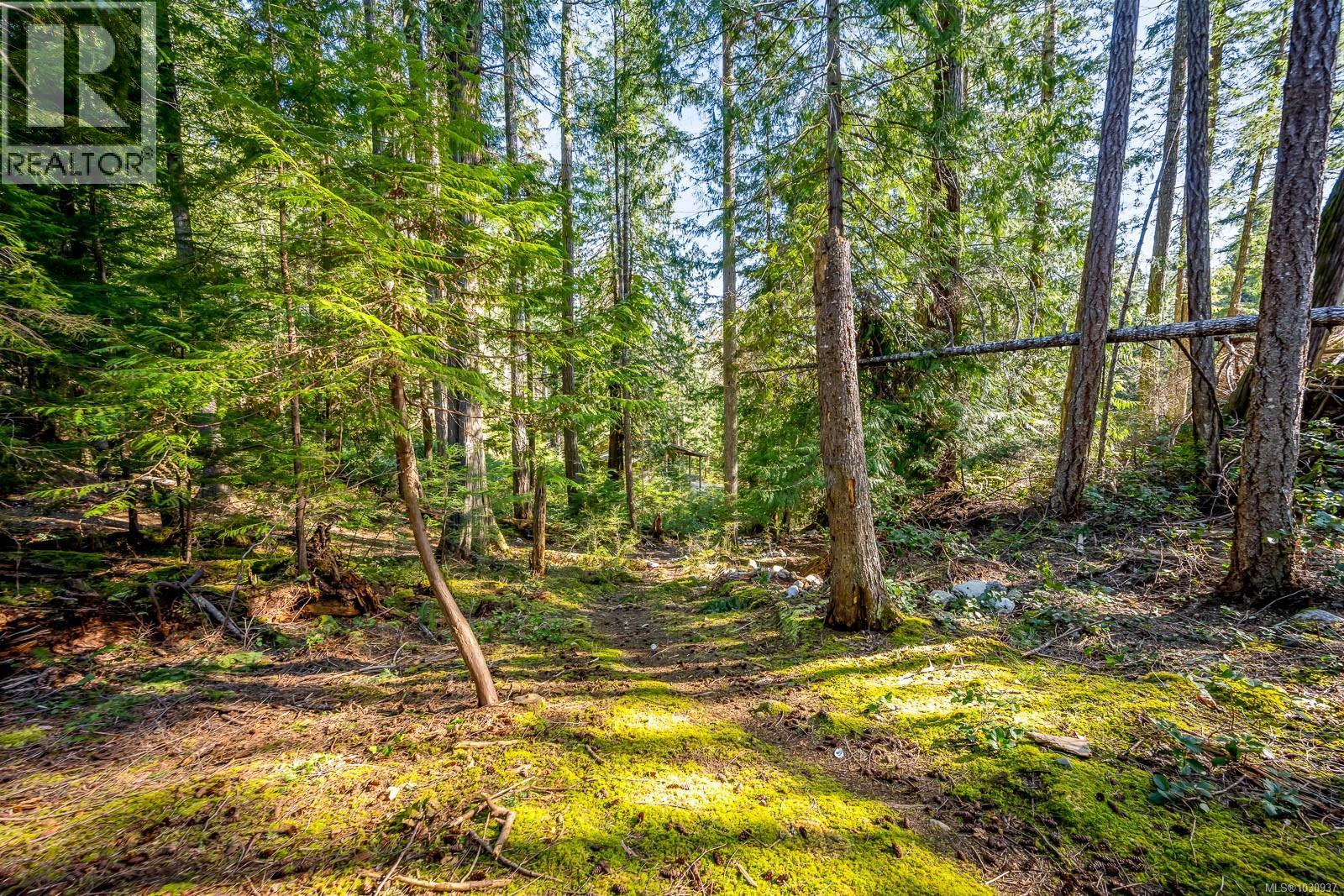 421 Whaletown Rd - 36