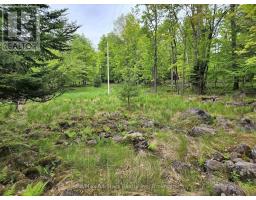 504 Bigwin Island, Lake Of Bays, ON P0A1H0 Photo 10