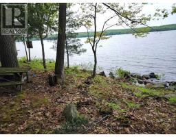 504 Bigwin Island, Lake Of Bays, ON P0A1H0 Photo 14