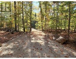 504 Bigwin Island, Lake Of Bays, ON P0A1H0 Photo 6