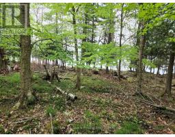504 Bigwin Island, Lake Of Bays, ON P0A1H0 Photo 9