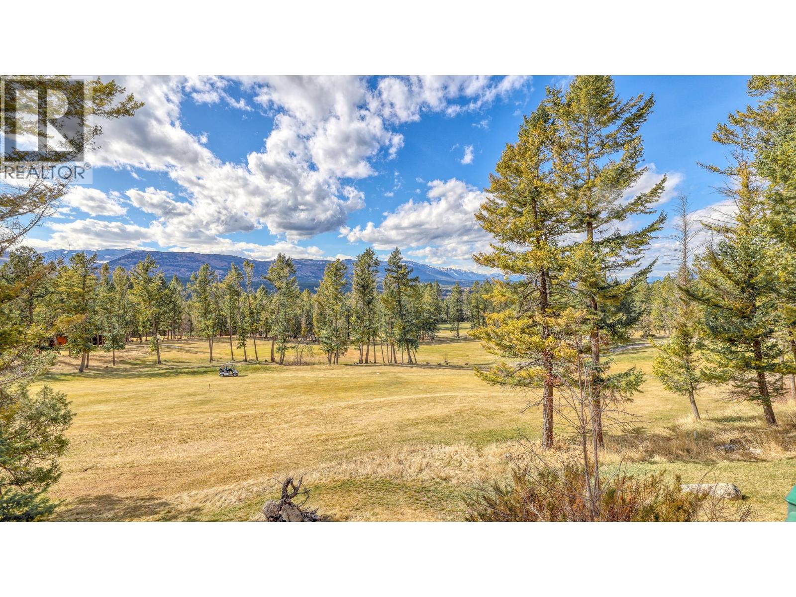 #301 5155 FAIRWAY DRIVE - 13