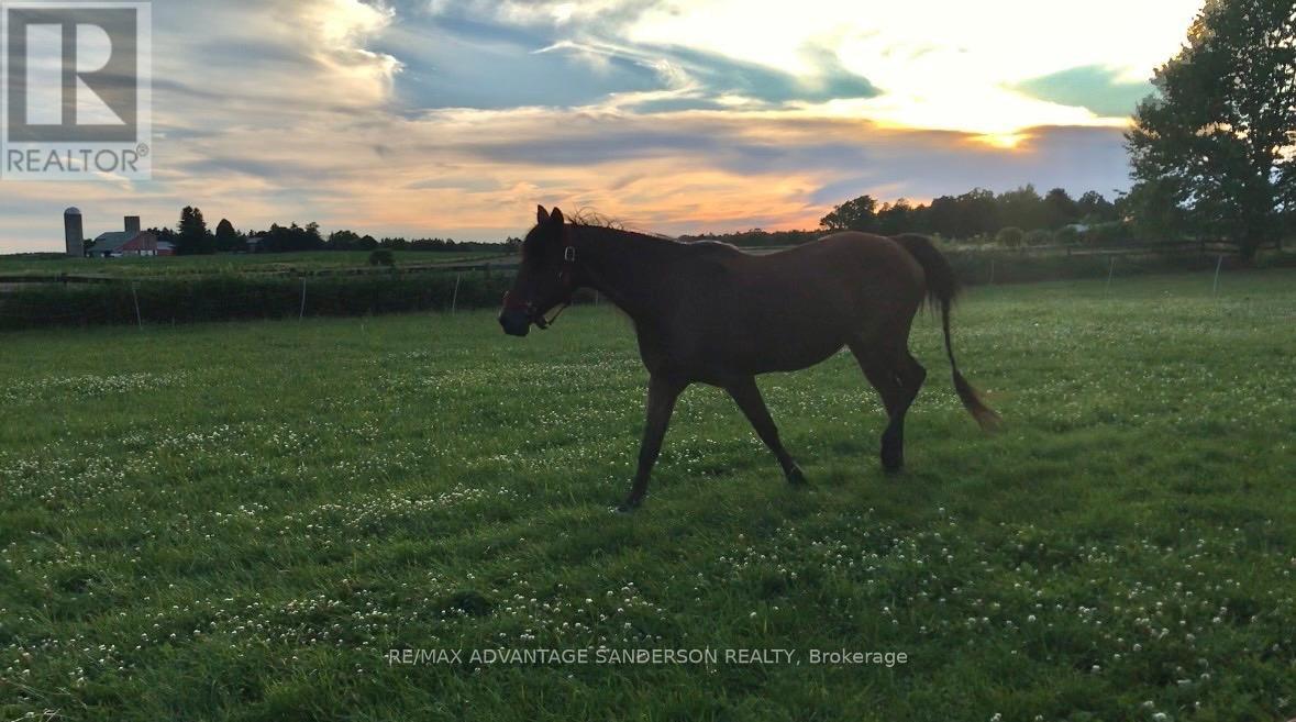 21727 VANNECK ROAD Property Photo