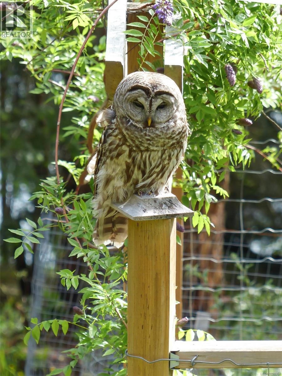 148 PILKEY POINT RD - 62