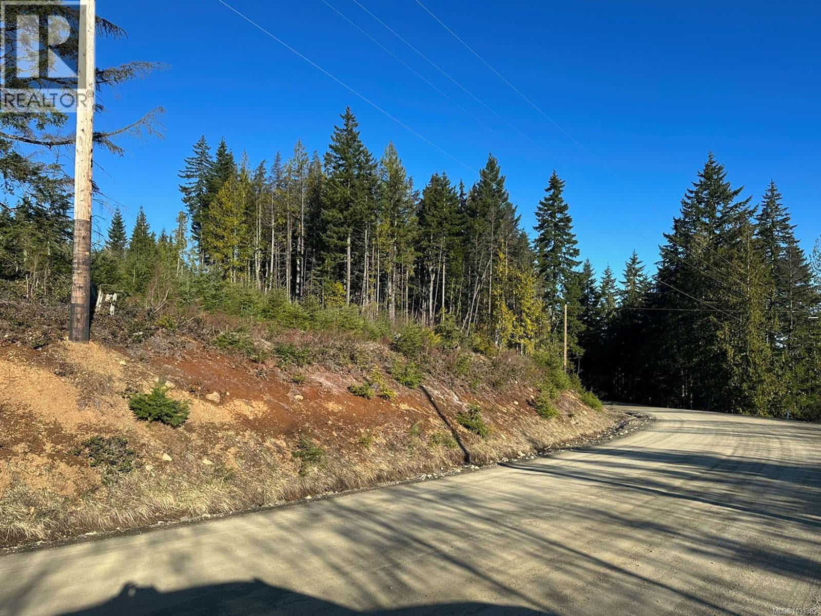 LOT B Forbidden Plateau Rd — photo 18