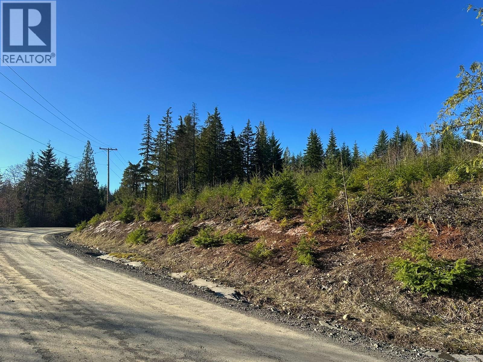 LOT B Forbidden Plateau Rd — photo 19