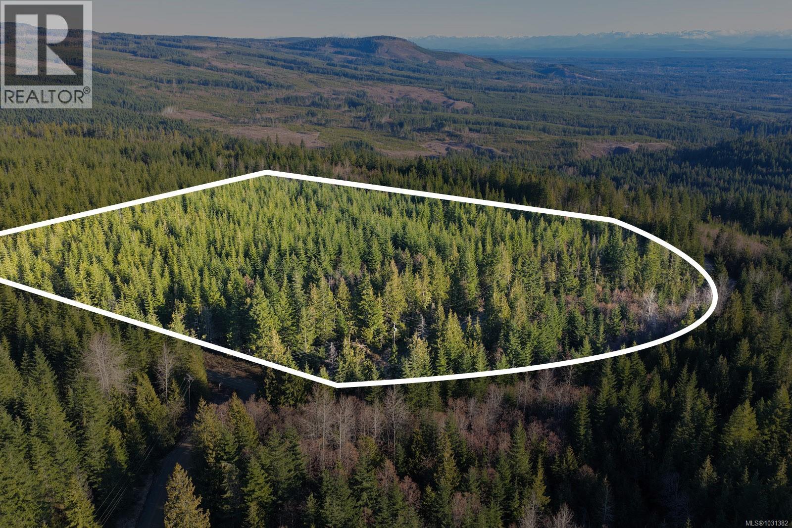 LOT B Forbidden Plateau Rd — photo 8