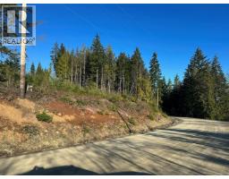 Lot B Forbidden Plateau Rd, Courtenay, BC V9J1L2 Photo 18