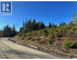 Lot B Forbidden Plateau Rd, Courtenay, BC V9J1L2 Photo 19
