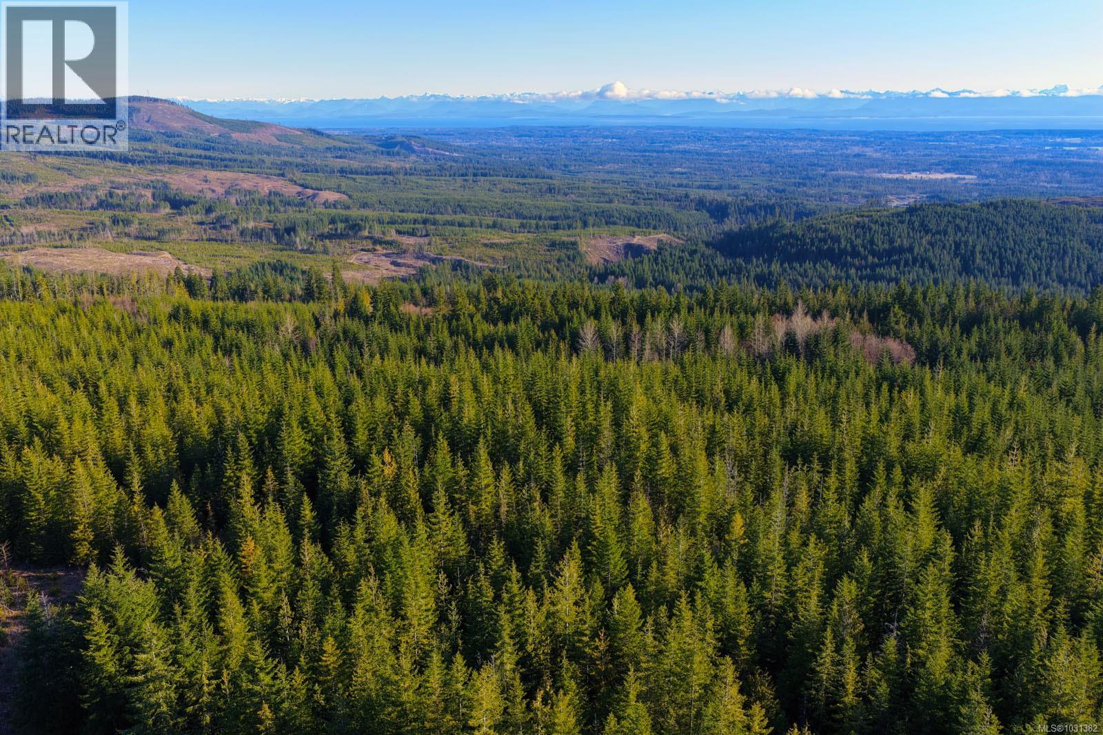 LOT B Forbidden Plateau Rd — photo 22