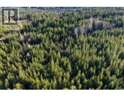 Lot B Forbidden Plateau Rd, Courtenay, BC V9J1L2 Photo 11