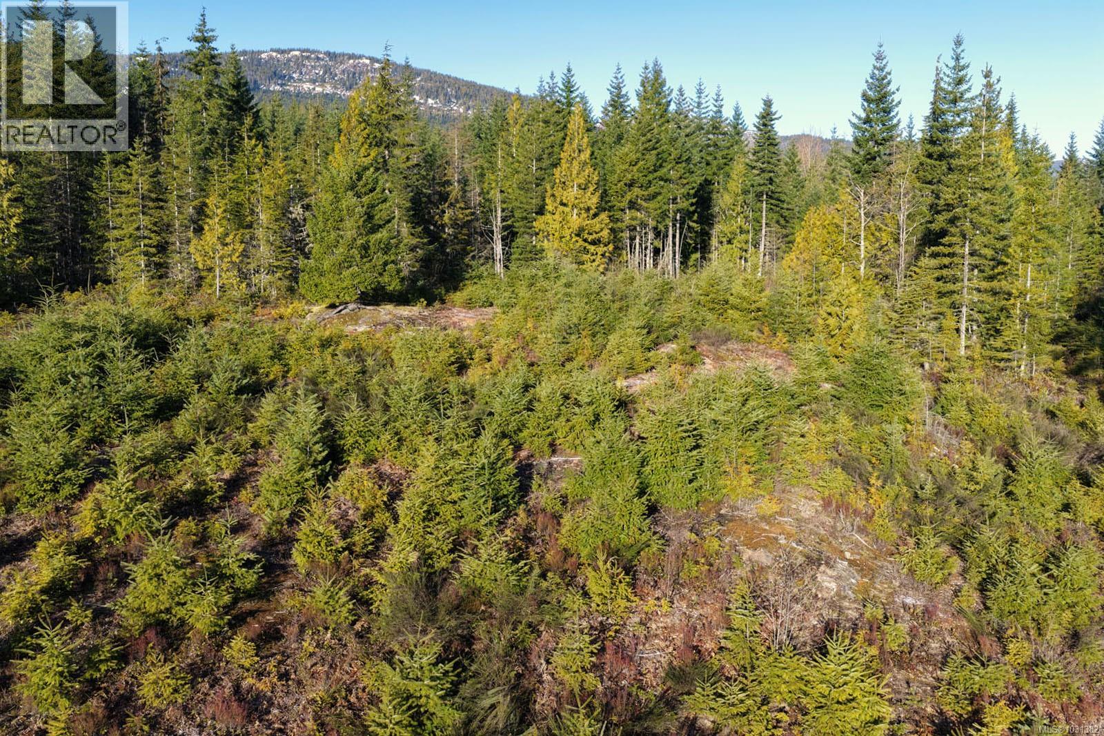 LOT B Forbidden Plateau Rd — photo 14