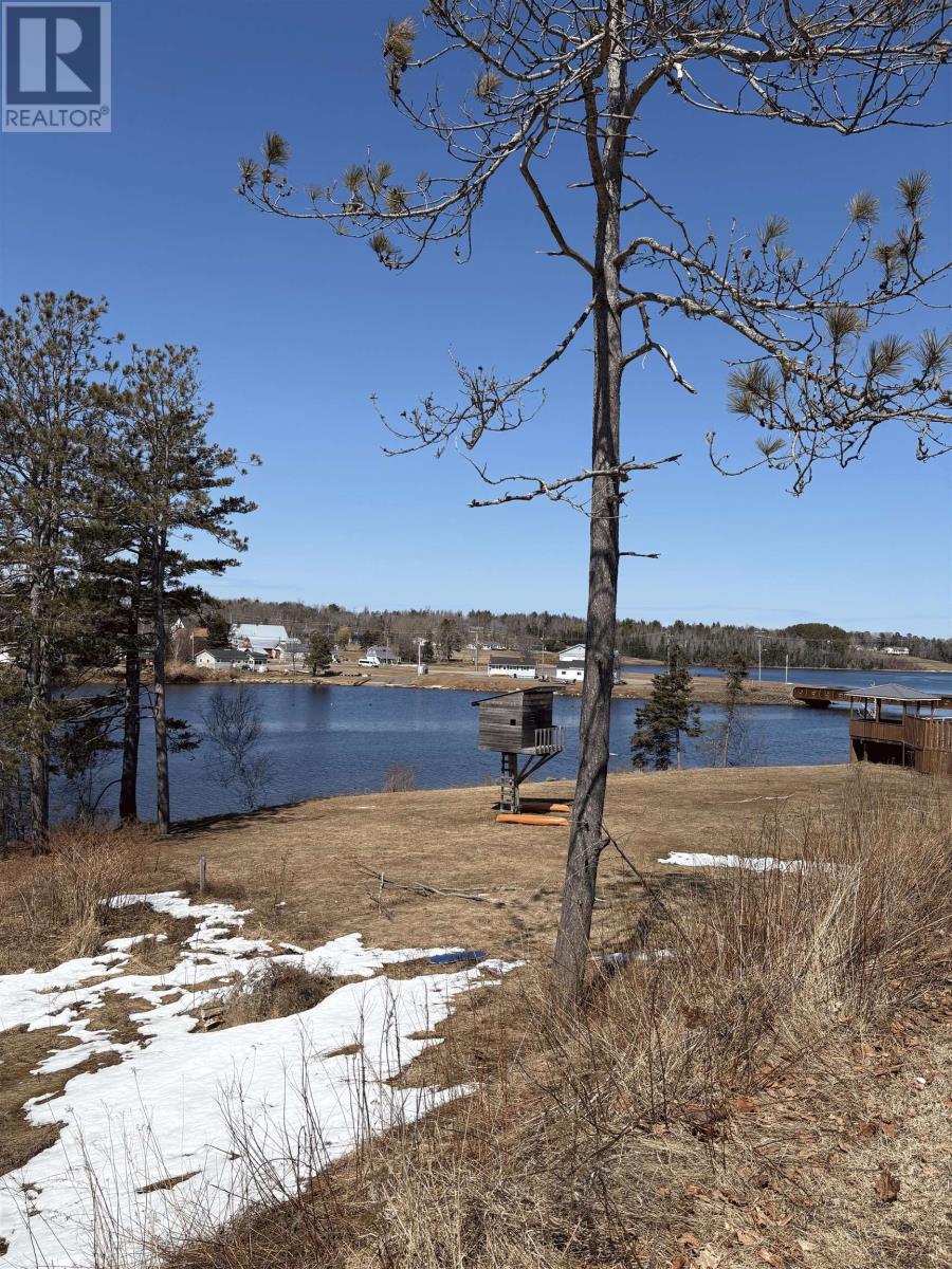 1099 MACINNIS STREET - 4