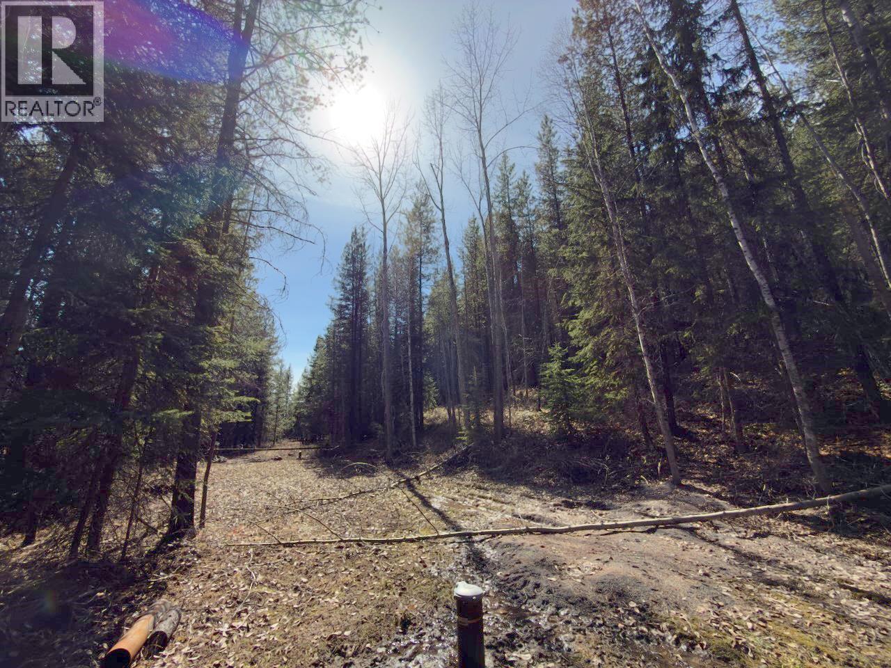 KM 53 CHRISTIAN VALLEY ROAD LOT# 2 - Image 2