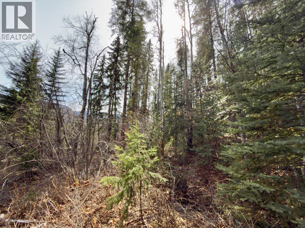 KM 53 CHRISTIAN VALLEY ROAD LOT# 1 - 38