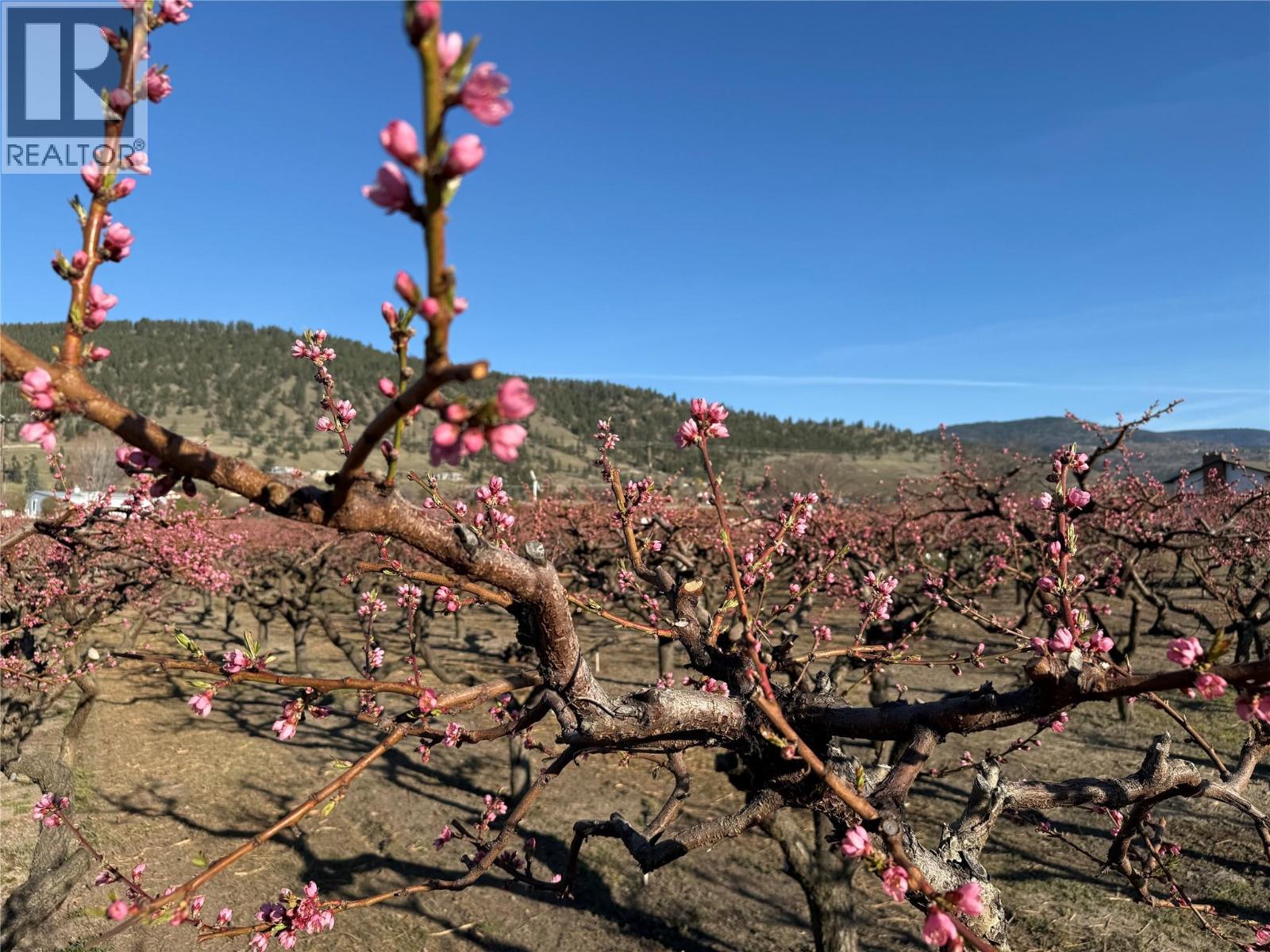  235 Middle Bench Road North, Penticton