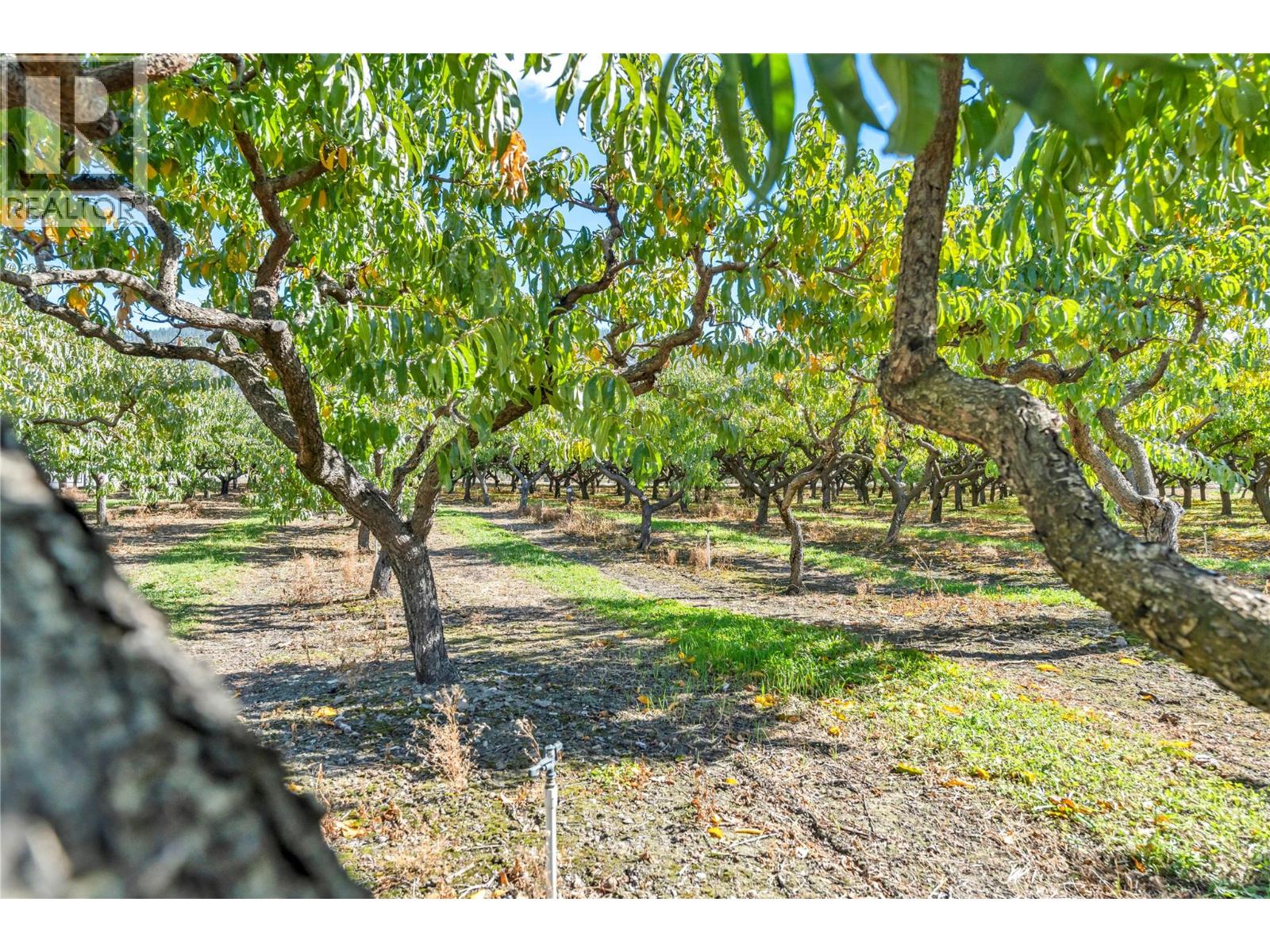  235 Middle Bench Road North, Penticton