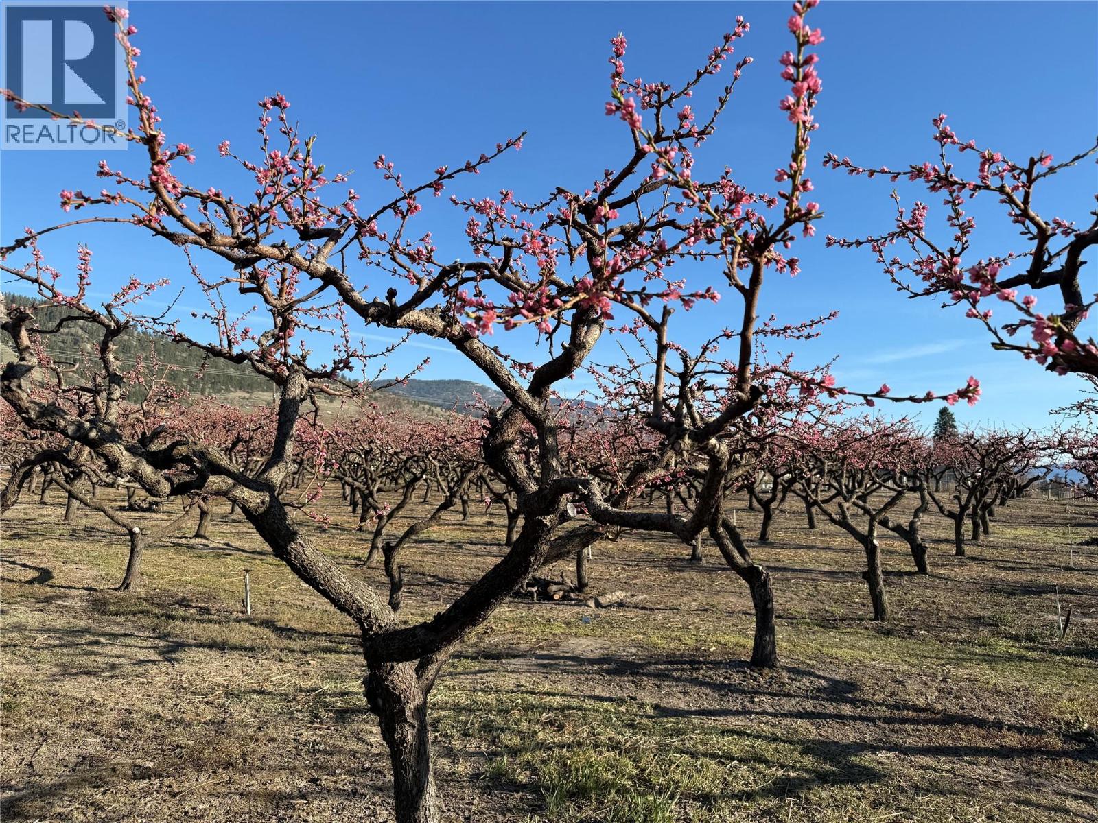  235 Middle Bench Road North, Penticton