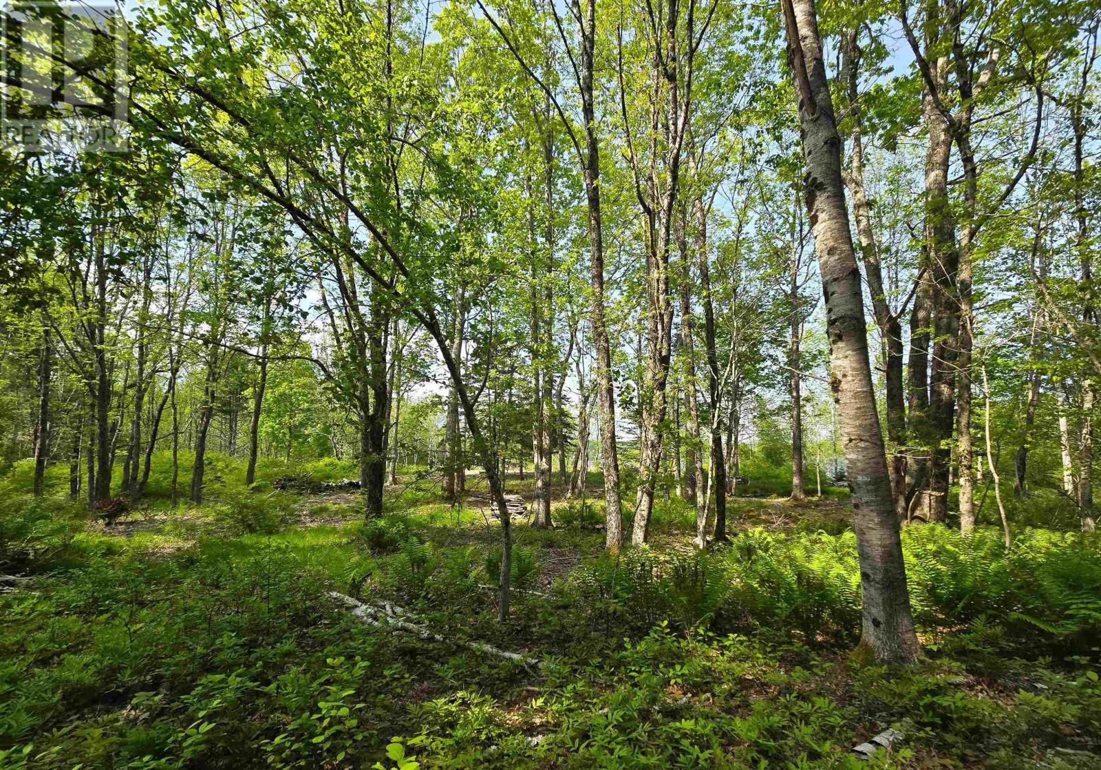 Property 26 of 29 of Lot Highway 3