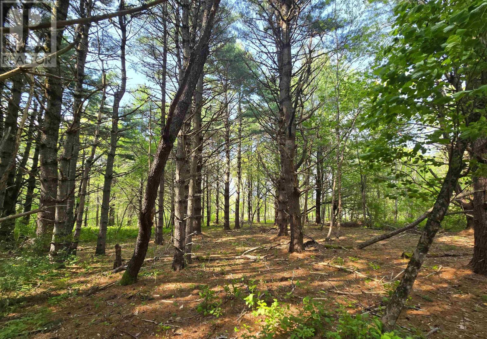 Property 27 of 29 of Lot Highway 3