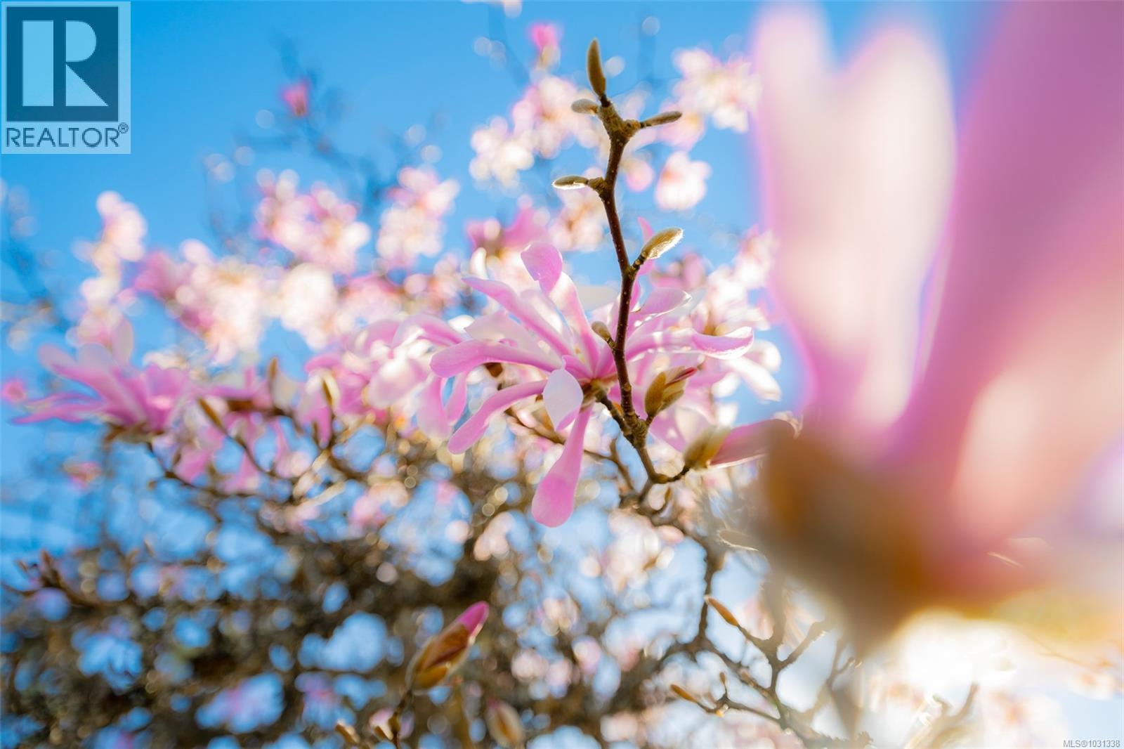 2465 6th Ave, Port Alberni