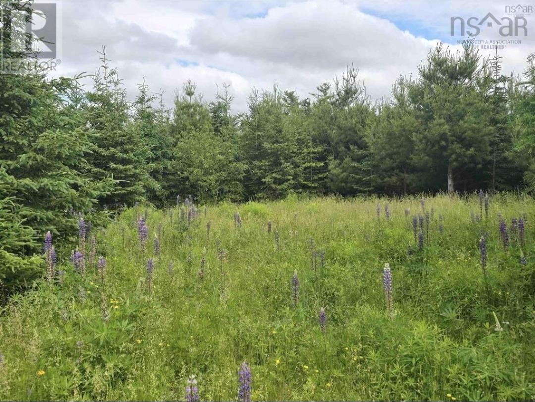 Property 4 of 6 of Lot 6 41 Brule Shore Road