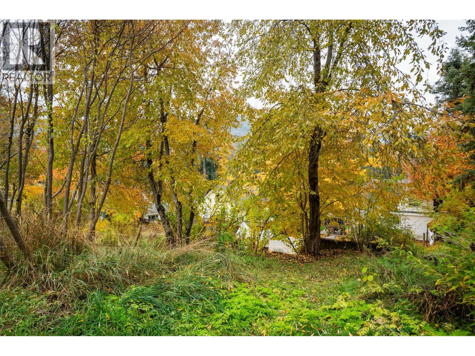 1976 WATSON LANE - 28