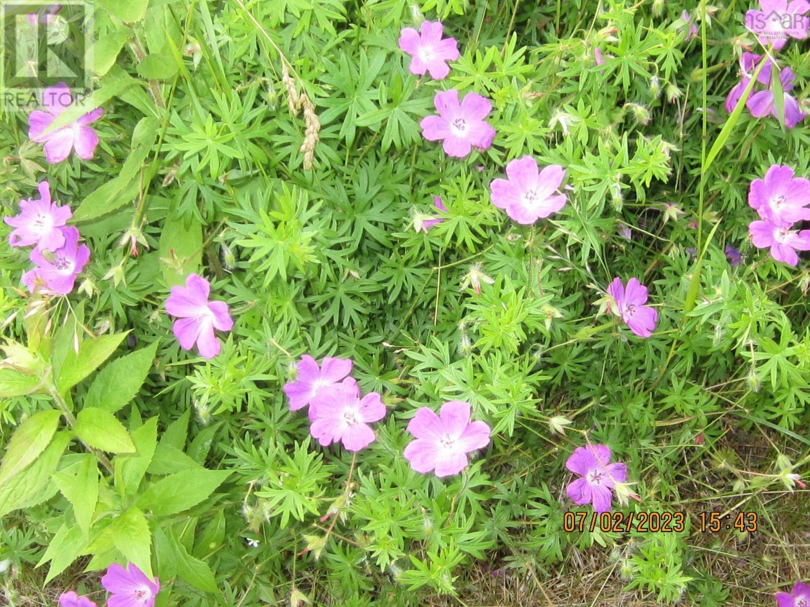 Property 22 of 26 of 9273 highway 16